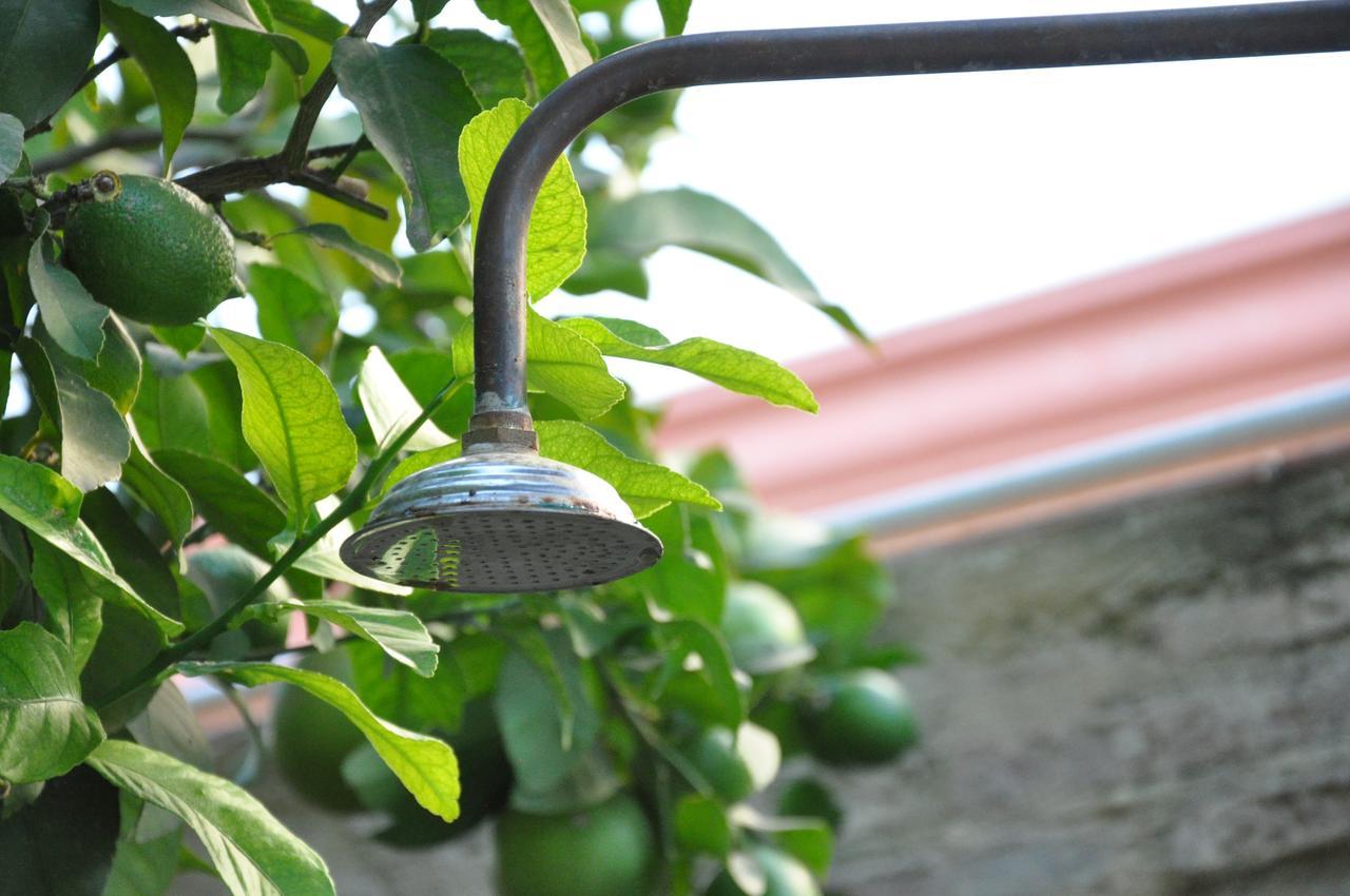 Lemon Garden Hostel Sevilla Exterior photo