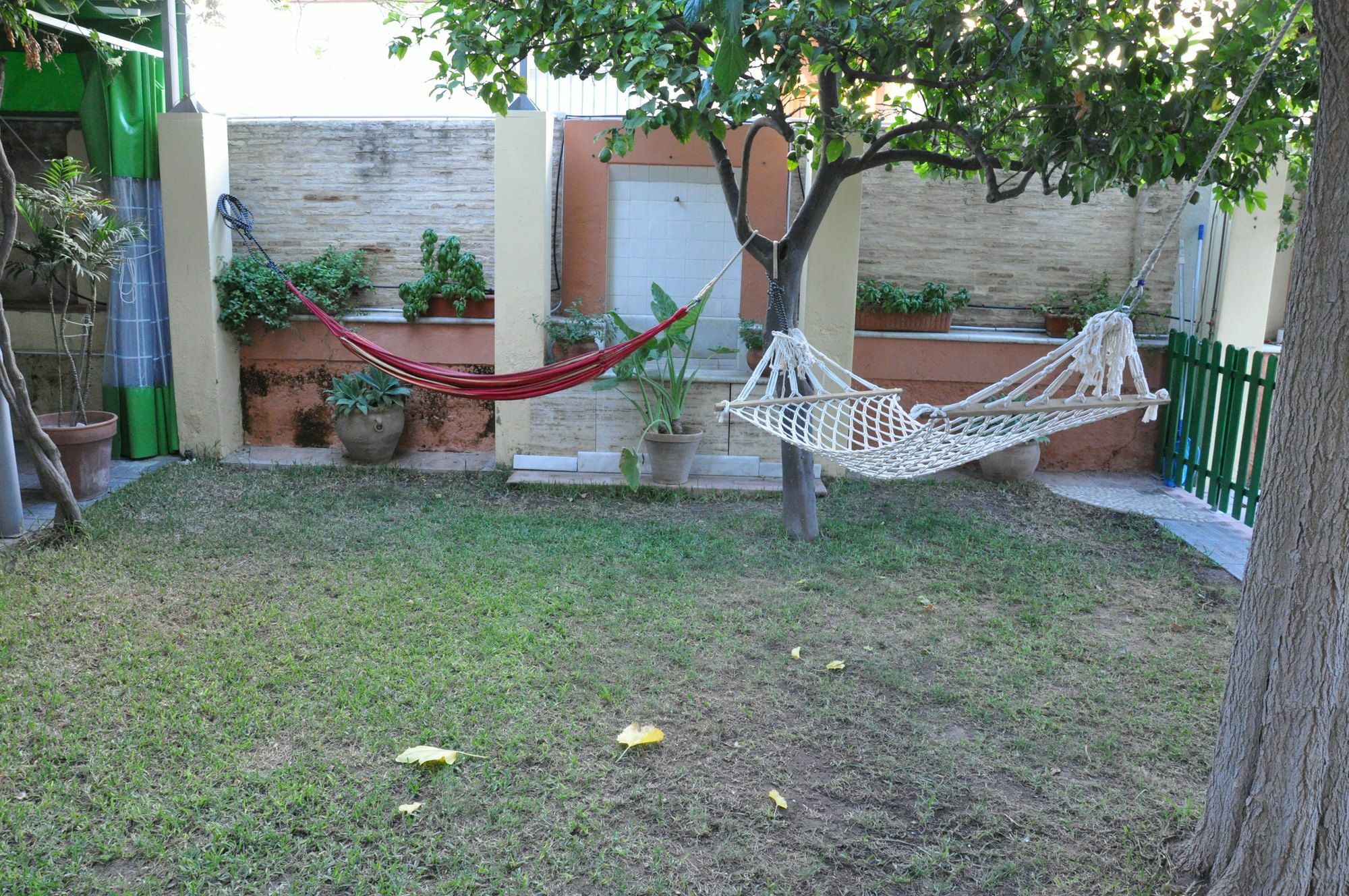 Lemon Garden Hostel Sevilla Exterior photo